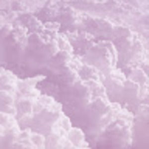 Meet your Posher, Priscila